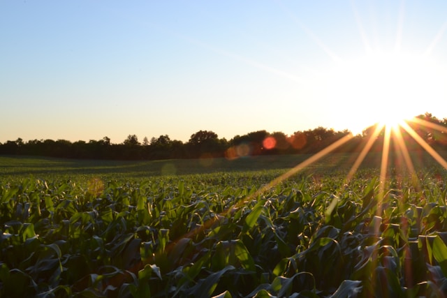 Plan NPK + Fertilizantes